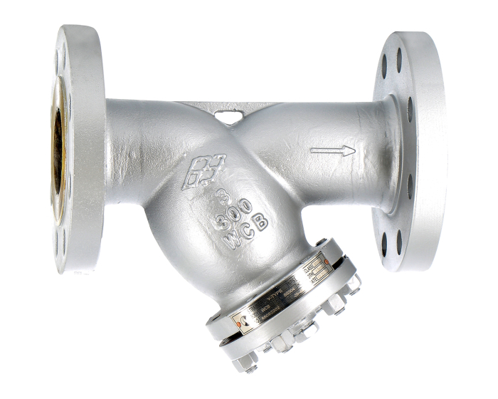 Cast steel A216WCB Y-strainer 244 RF ANSI300 2''